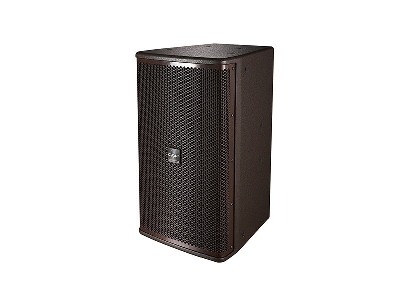 CAF SE-10 two-way loudspeaker in a wood finish