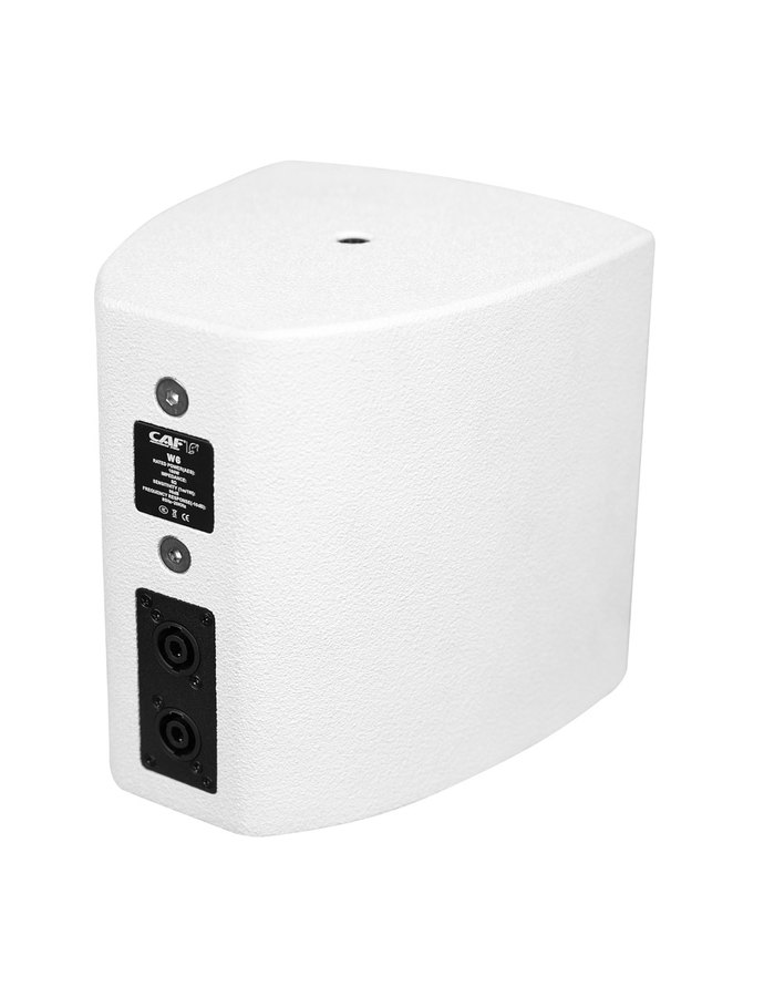CAF W6 coaxial satellite loudspeaker
